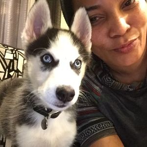 Meet your Posher, Michele